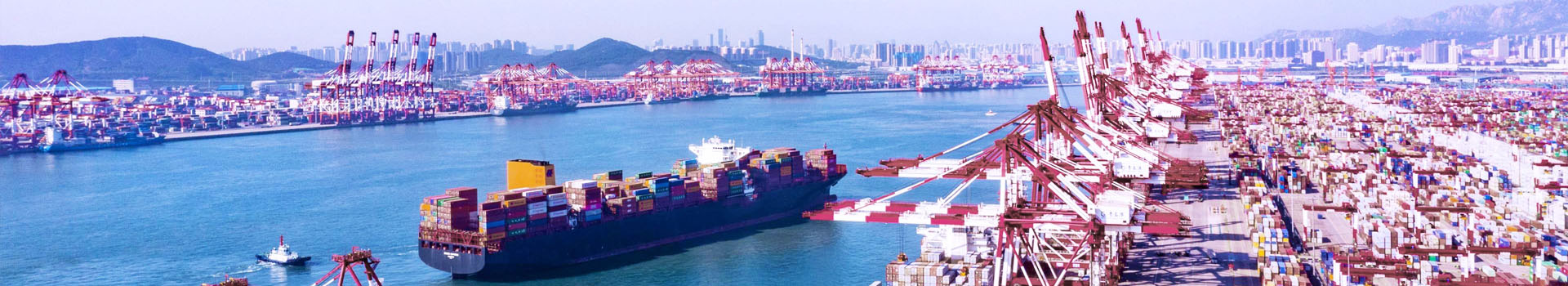 吊裝鉗如何保養(yǎng)與維護(hù)_了解起重鉗_新聞動(dòng)態(tài)_起重鉗,鋼板起重鉗,吊裝鉗,鋼板鉗,起重吊裝鉗-辰力集團(tuán)有限公司